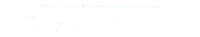 financiado union europea